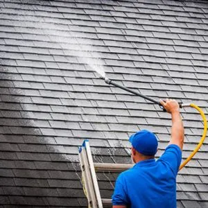 Tamworth Roof Cleaning Services